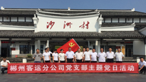 郴客：組織黨員開展主題黨日活動(dòng)